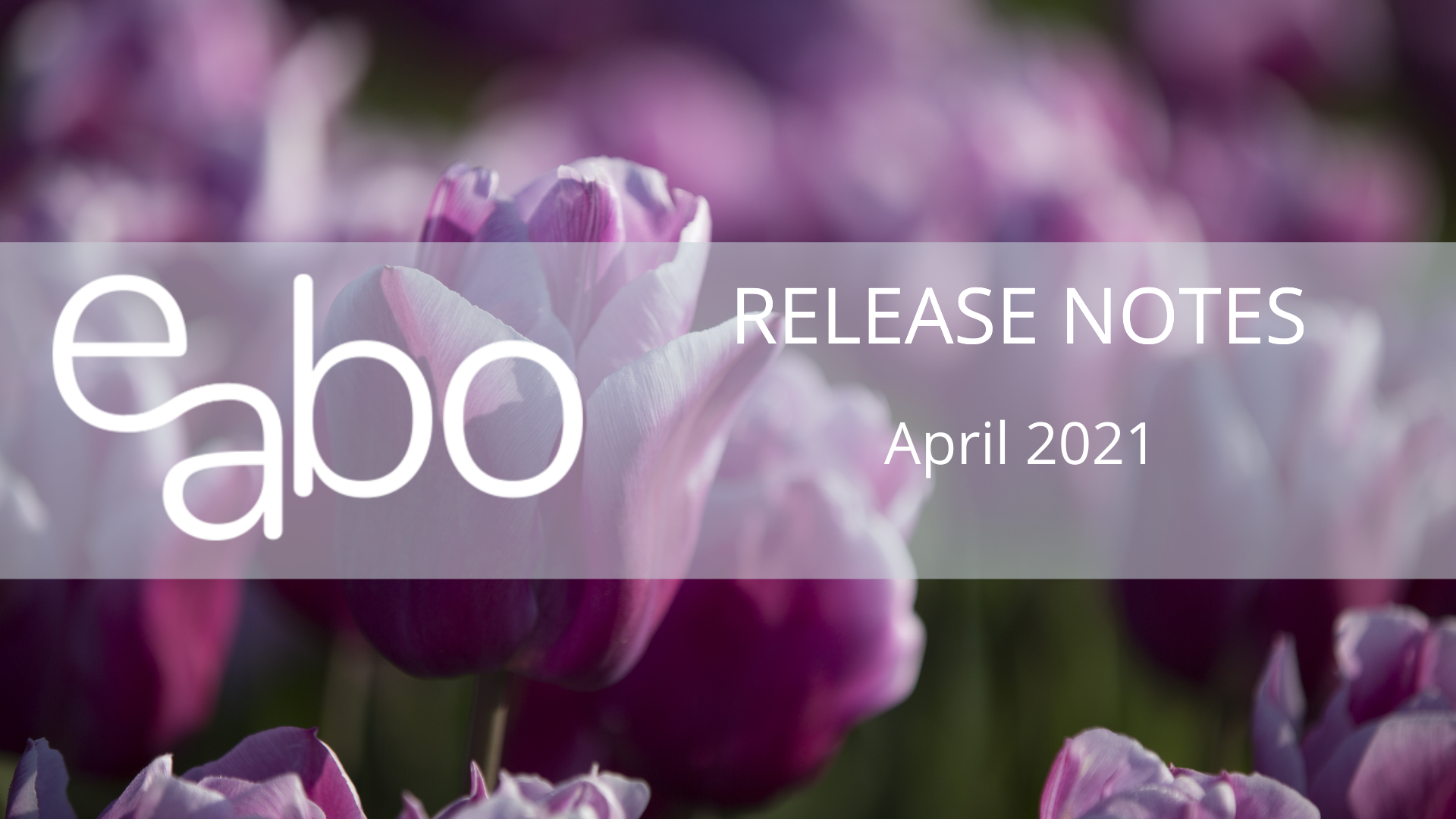 Release Notes April 21